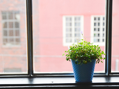 短信电话云轰炸